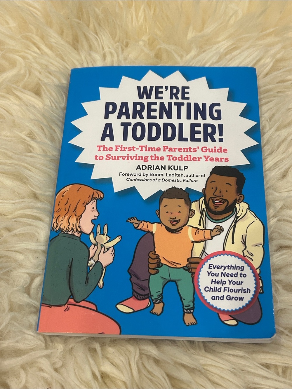We’re Parenting a Toddler! - Blue Parenting Guide by Adrian Kulp